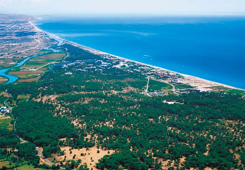 Sorgun